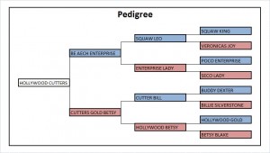 Pedigree - HOLLYWOOD CUTTERS